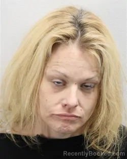 Mugshot of Stephanie Marie Hannibal booked in Virginia Beach County, Virginia on August 19, 2026