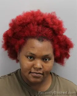 Mugshot of Leila Simone Bell-Mahone booked in Virginia Beach County, Virginia on August 21, 2026