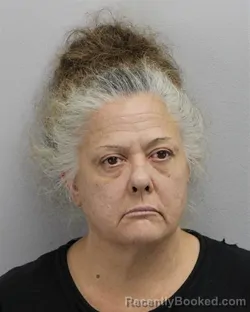 Mugshot of Michelle Marie Hawrylak booked in Virginia Beach County, Virginia on August 26, 2026