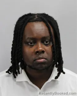 Mugshot of Austin Nganga booked in Virginia Beach County, Virginia on August 28, 2026