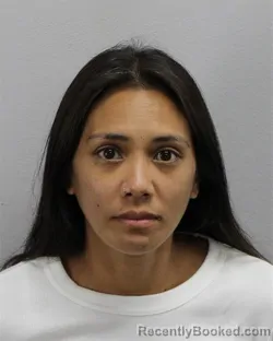 Mugshot of Lindsey Santella Belew booked in Virginia Beach County, Virginia on August 28, 2026