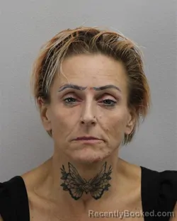 Mugshot of April Ruth Hillshoff-Jensen booked in Virginia Beach County, Virginia on August 28, 2026