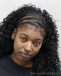 Mugshot of Adrinne Denise Parker booked in Virginia Beach County, Virginia on August 29, 2026
