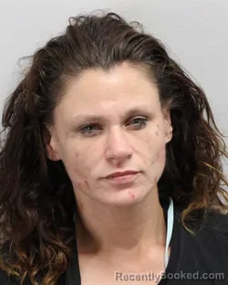 Mugshot of Ashley Nicole Billups booked in Virginia Beach County, Virginia on September 1, 2026