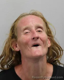 Mugshot of Robyn Grace Nielsen booked in Virginia Beach County, Virginia on September 2, 2026