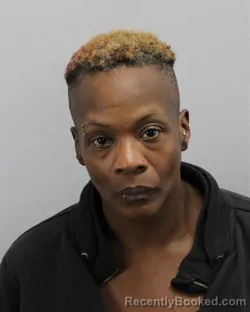 Mugshot of Jamacia Adamma Larkins booked in Virginia Beach County, Virginia on September 4, 2026