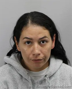 Mugshot of Chelsee Marie Petro booked in Virginia Beach County, Virginia on September 27, 2026