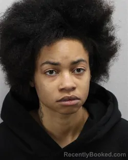 Mugshot of Arianna Denae Wilson booked in Virginia Beach County, Virginia on September 13, 2026