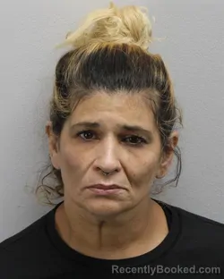 Mugshot of Terri Lynn Scott booked in Virginia Beach County, Virginia on September 26, 2026