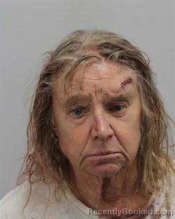 Mugshot of Janice Louise Bogucki booked in Virginia Beach County, Virginia on September 29, 2026