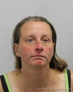 Mugshot of Theresa Renea Vaughn booked in Virginia Beach County, Virginia on October 7, 2026