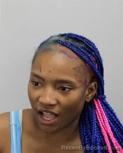 Mugshot of Lanyah Imani Renee Mclauchlin booked in Virginia Beach County, Virginia on October 8, 2026