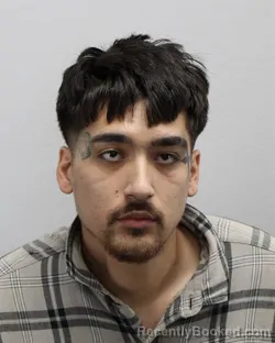 Mugshot of Brandon Lee Lao booked in Virginia Beach County, Virginia on October 8, 2026