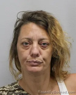 Mugshot of Katherine Elizabeth Gavin booked in Virginia Beach County, Virginia on October 9, 2026