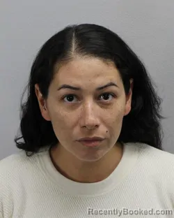 Mugshot of Chelsee Marie Petro booked in Virginia Beach County, Virginia on October 11, 2026
