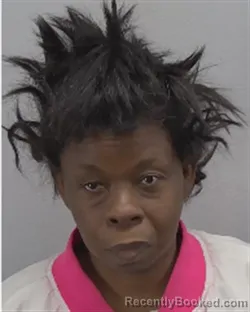 Mugshot of Karen Lynette Neal booked in Virginia Beach County, Virginia on October 13, 2026