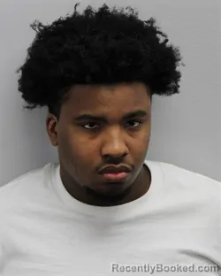 Mugshot of Bryson Maliq Brown booked in Virginia Beach County, Virginia on October 23, 2026