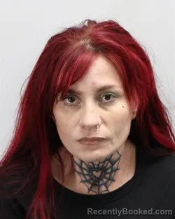 Mugshot of Chelsea Rae Austin booked in Virginia Beach County, Virginia on October 15, 2026