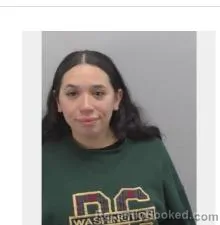 Mugshot of Eliza Marie Gonzalez booked in Virginia Beach County, Virginia on October 17, 2026