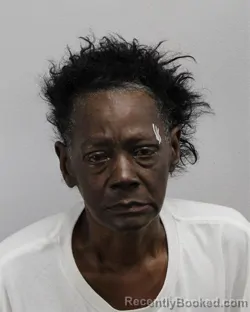 Mugshot of Cheryl Denise Smith booked in Virginia Beach County, Virginia on October 19, 2026