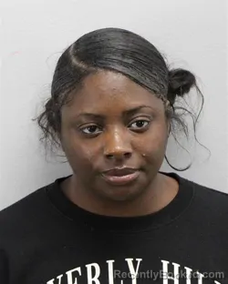 Mugshot of Loretta K Norfleet booked in Virginia Beach County, Virginia on October 20, 2026