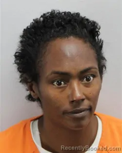 Mugshot of Tiffani Dominique Pettis-Owens booked in Virginia Beach County, Virginia on October 22, 2026