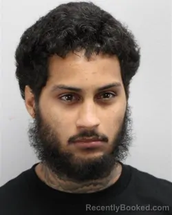Mugshot of Andrew Naudain Ligon booked in Virginia Beach County, Virginia on October 22, 2026