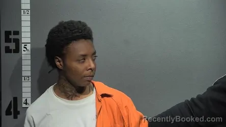 Mugshot of AYANA KARCHEL FREEMAN booked in Suffolk County, Virginia on March 6, 2026