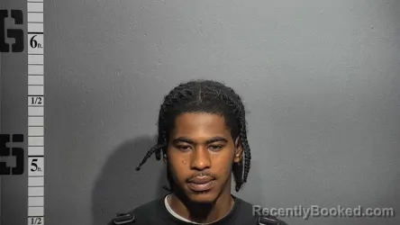Mugshot of Amari Ledon Harrison booked in Suffolk County, Virginia on October 15, 2026