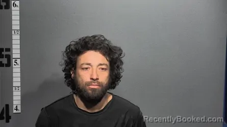 Mugshot of ARKINSON REYES-ZELEDON booked in Suffolk County, Virginia on March 17, 2026