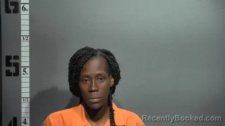 Mugshot of ANTIONETTE LOUVENIA SMITH