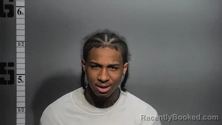 Mugshot of CAMARI KARAN JACKSON booked in Suffolk County, Virginia on June 15, 2026