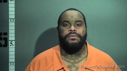 Mugshot of DEANDRE RAYFEL ARTIS