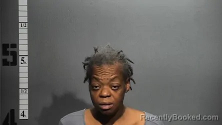 Mugshot of DIANNE GLORIA PRYOR booked in Suffolk County, Virginia on August 3, 2026