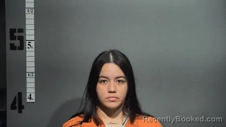 Mugshot of DIANA CAROLINA RAMIREZ-ARIAS booked in Suffolk County, Virginia on May 14, 2026