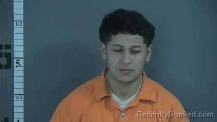 Mugshot of DARWIN VALLADAREZ