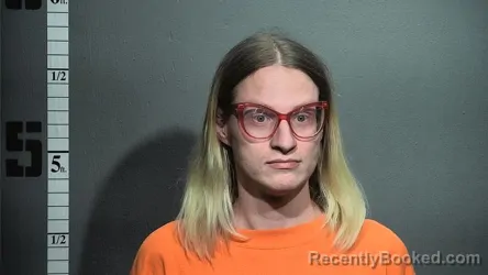 Mugshot of JOSEPH DOWNING BARNES booked in Suffolk County, Virginia on March 16, 2026