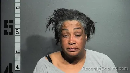 Mugshot of JO BILLIE BLANCHARD