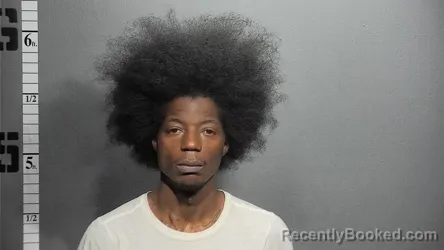 Mugshot of LAVELLE DAMON DAVIS booked in Suffolk County, Virginia on May 19, 2026