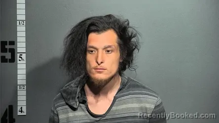 Mugshot of MICHAEL SHIELDS booked in Suffolk County, Virginia on March 10, 2026