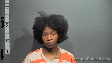 Mugshot of SHAKIRA MIZELLE booked in Suffolk County, Virginia on April 24, 2026