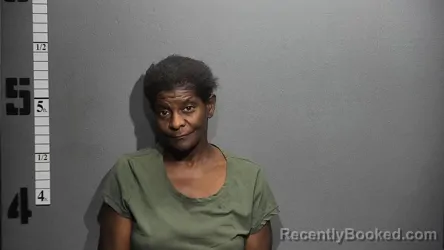 Mugshot of TRACEY MARIE HOLMES booked in Suffolk County, Virginia on June 17, 2026