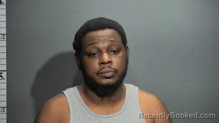 Mugshot of TIMOTHY KELLY