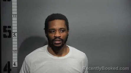 Mugshot of TEVIN DEANGELO PALMER