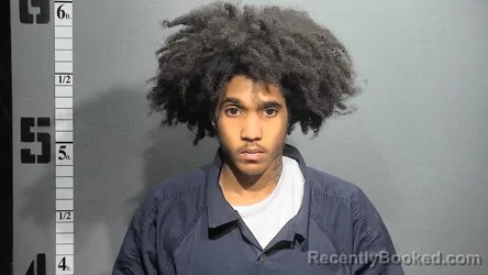 Mugshot of TAYLIN STOKE booked in Suffolk County, Virginia on April 6, 2026