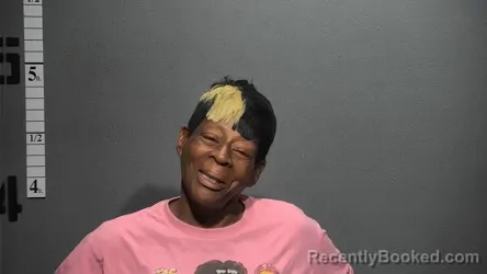 Mugshot of TRACY LARIE SMITH booked in Suffolk County, Virginia on May 3, 2026