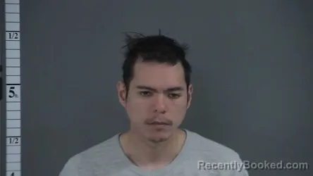 Mugshot of THOMAS VIANDS