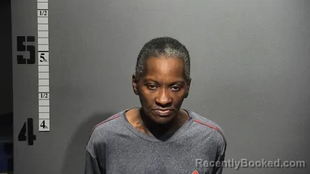 Mugshot of Virginia Chambliss booked in Suffolk County, Virginia on August 8, 2026