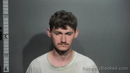 Mugshot of ZACHARY LEDFORD booked in Suffolk County, Virginia on June 10, 2026