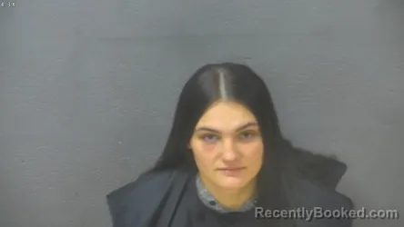 Mugshot of Ashley Grace Alston booked in Lynchburg County, Virginia on August 28, 2026